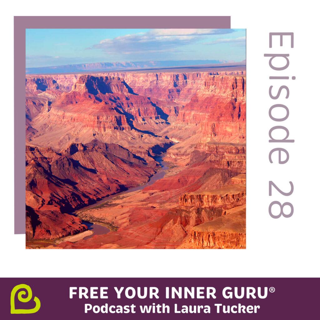 Outcomes vs Goals Free Your Inner Guru Podcast